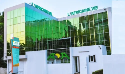 Professional team collaboration